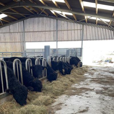 Farm Buildings